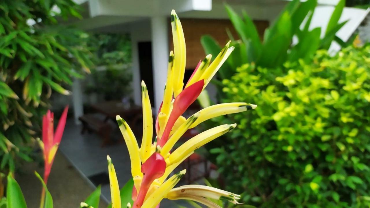 Sunbeam Villa Tangalle Eksteriør bilde